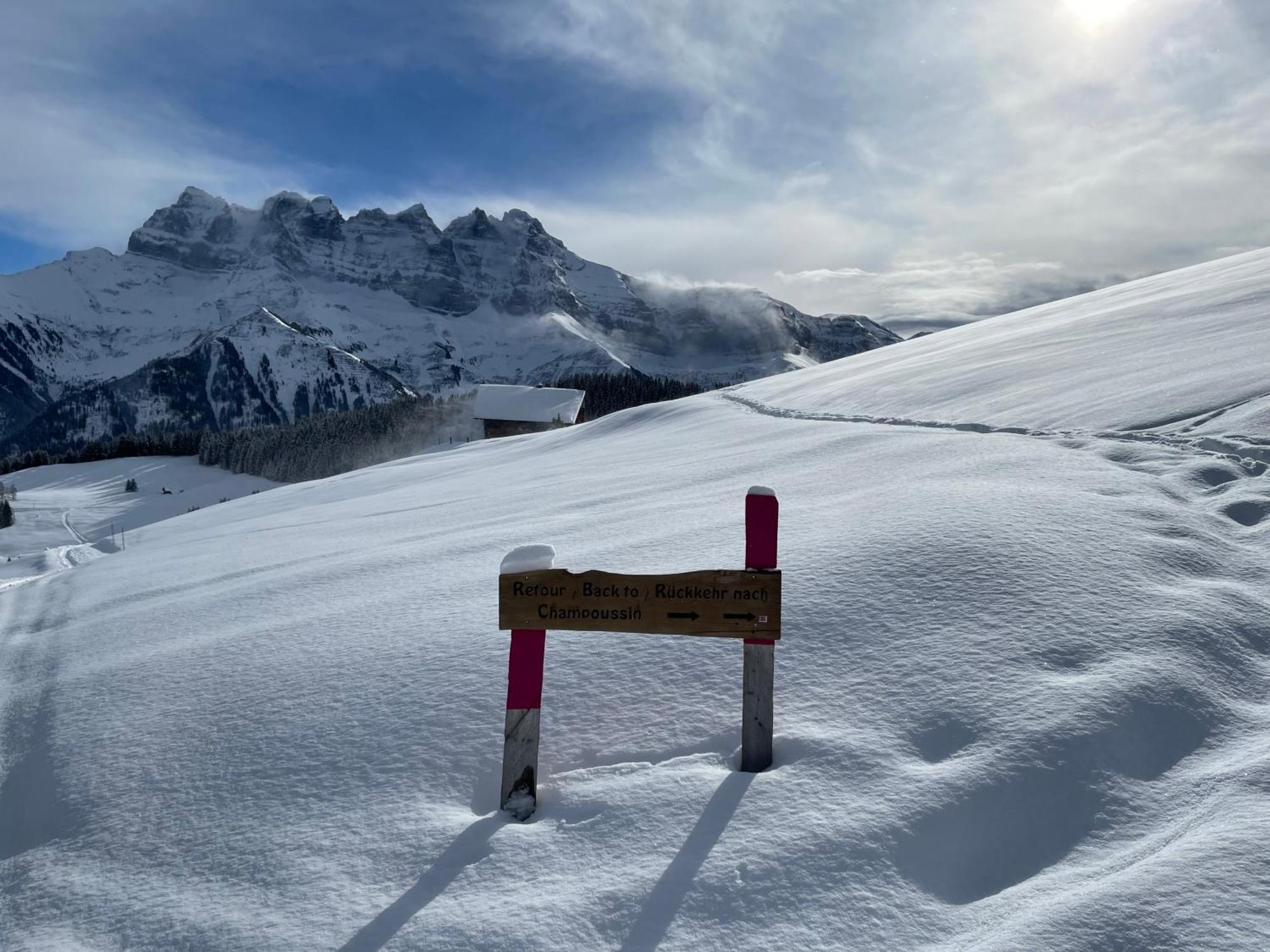 Chalet Montriond - Bike & Ski Les Crosets Exteriör bild