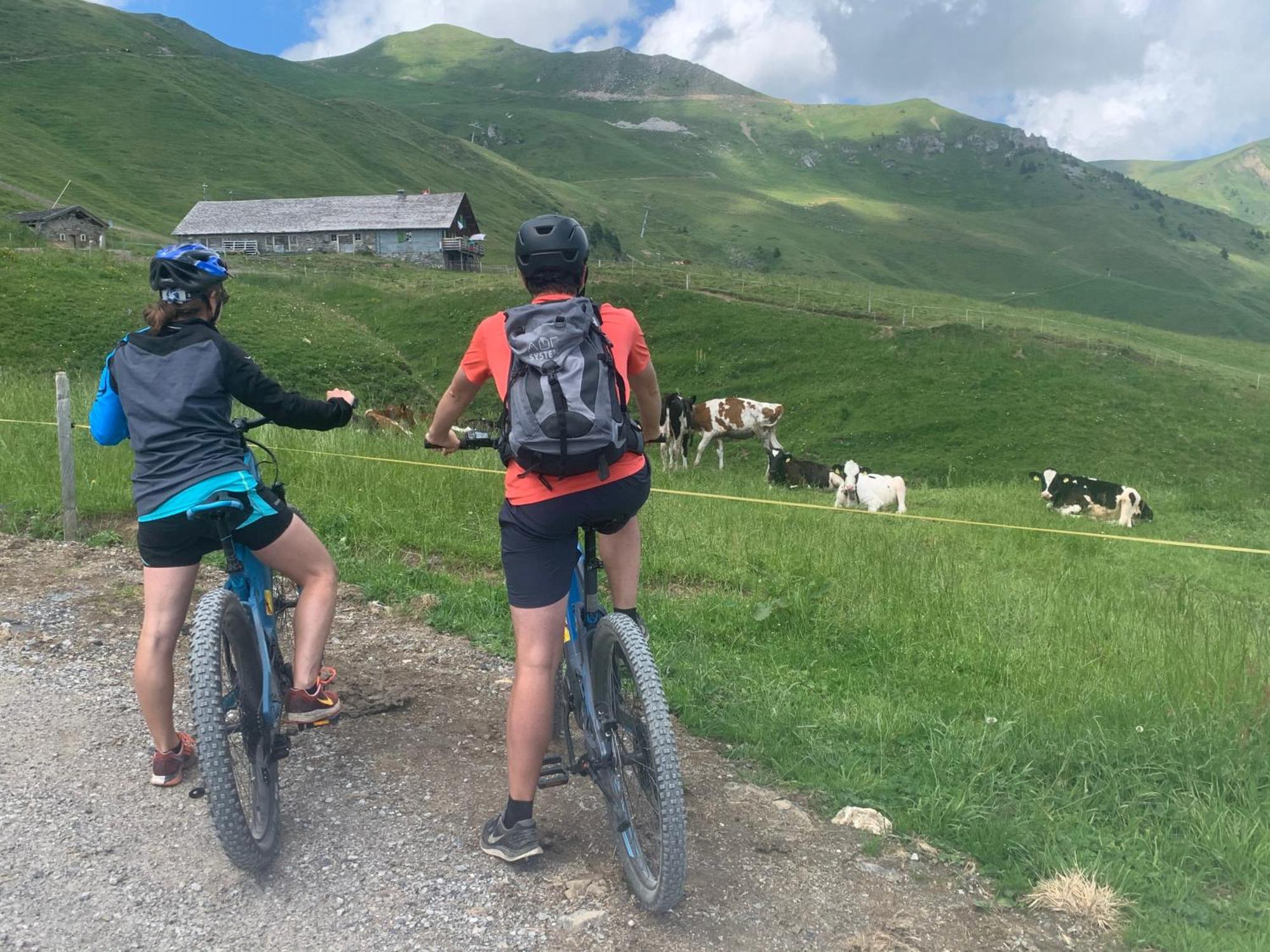Chalet Montriond - Bike & Ski Les Crosets Exteriör bild