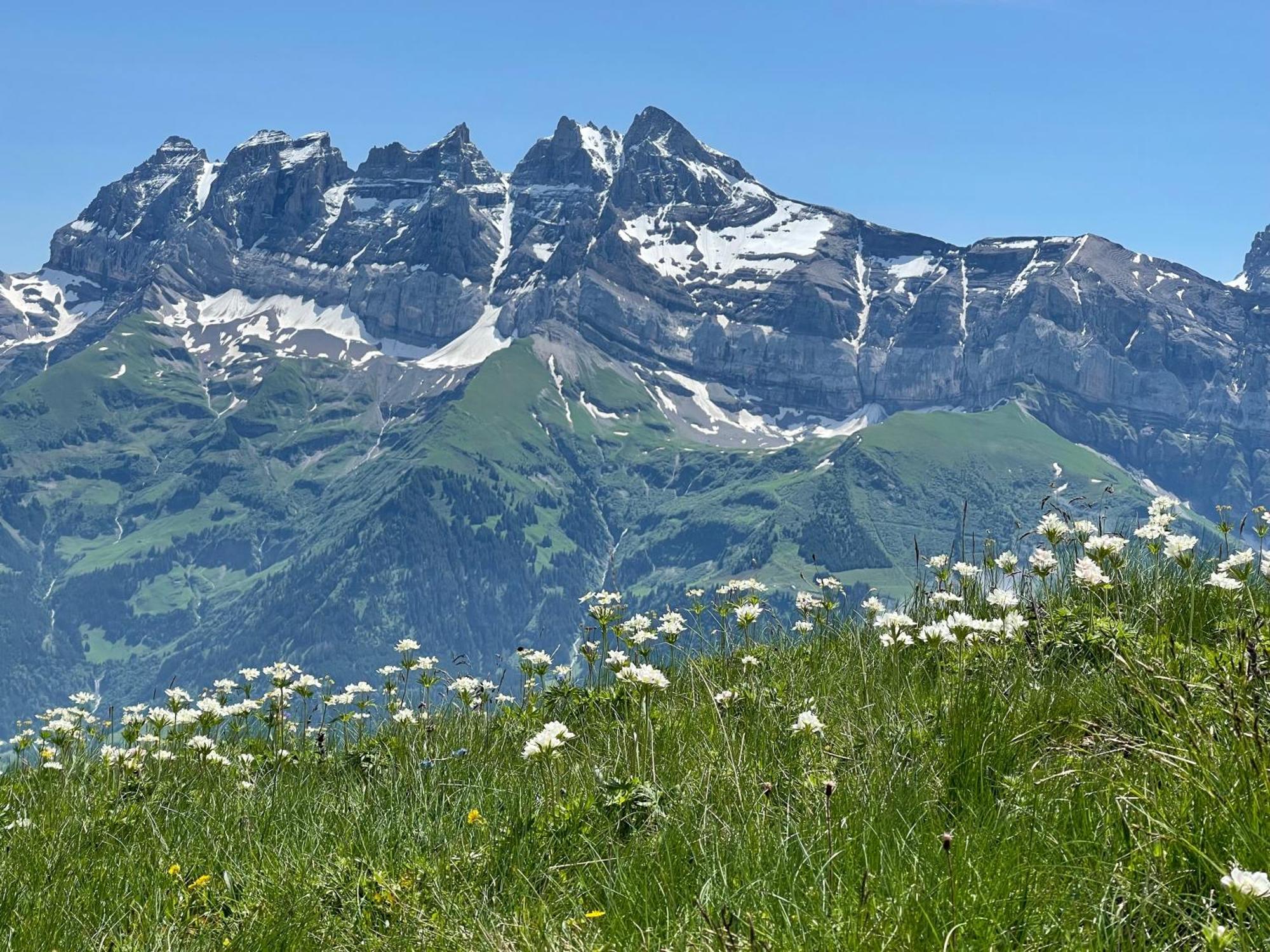 Chalet Montriond - Bike & Ski Les Crosets Exteriör bild